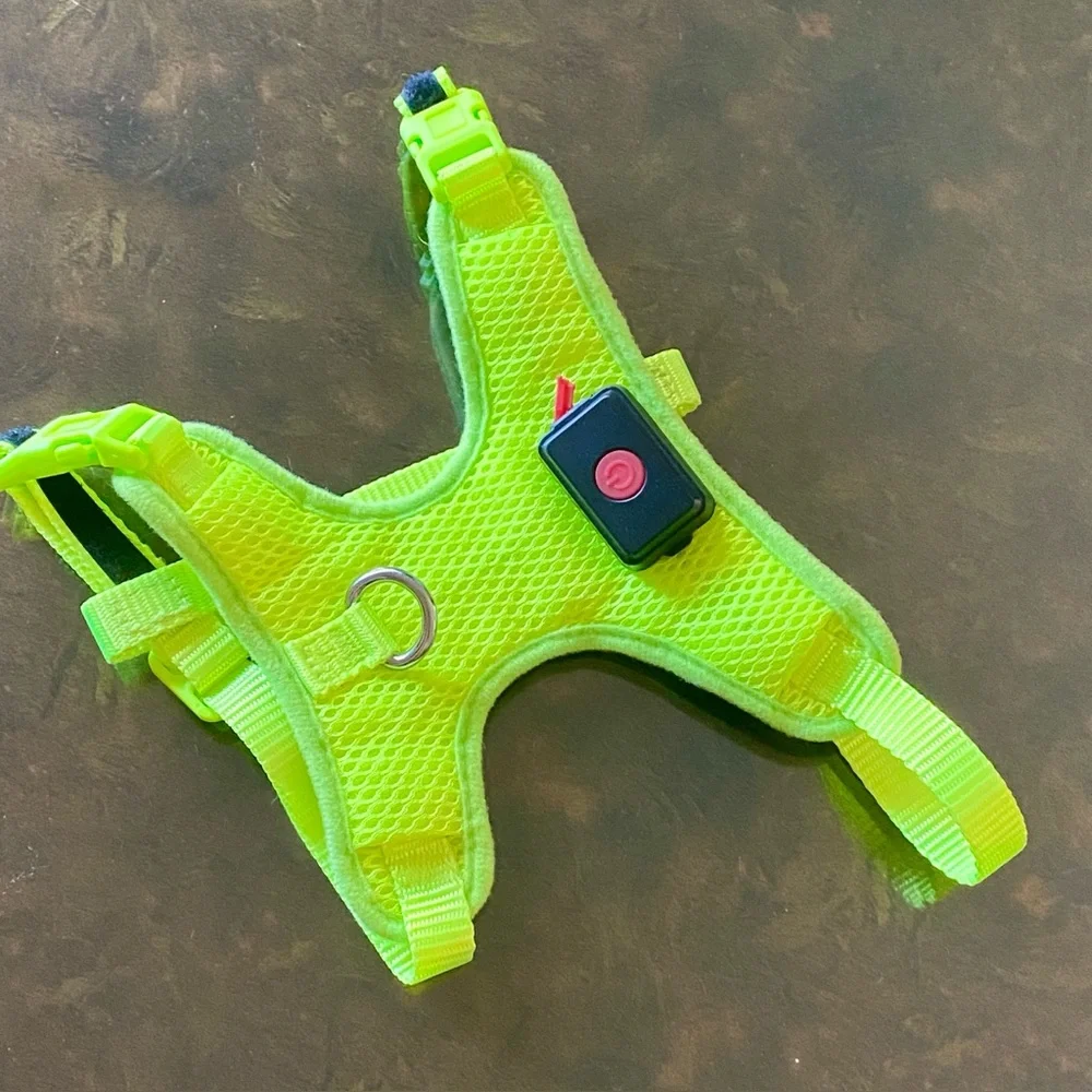 BSEEN Comfort Control Light-Up Dog Harness - Small